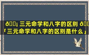 🐡 三元命学和八字的区别 🌷 「三元命学和八字的区别是什么」